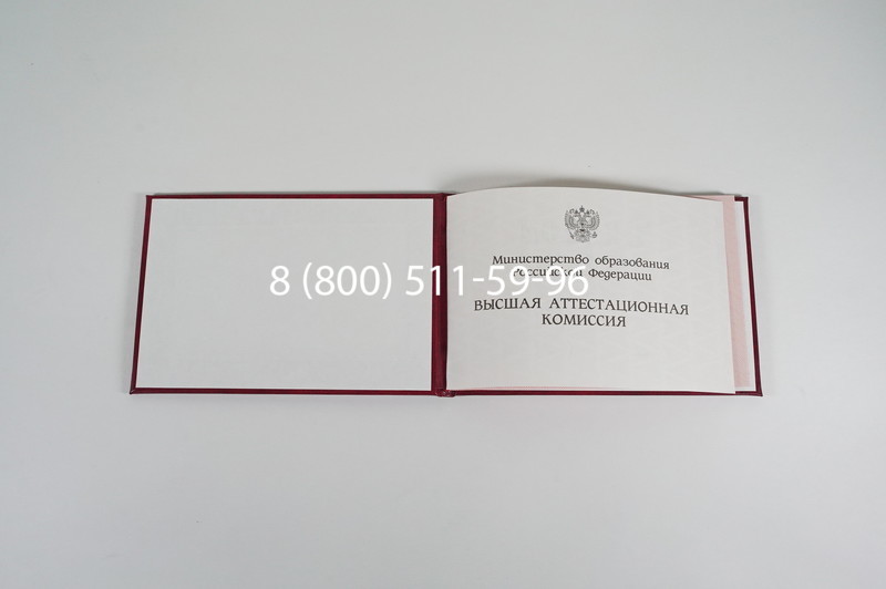 Диплом доктора наук 1995-2006 года в Казани Диплом доктора наук 1995-2006 года в Казани